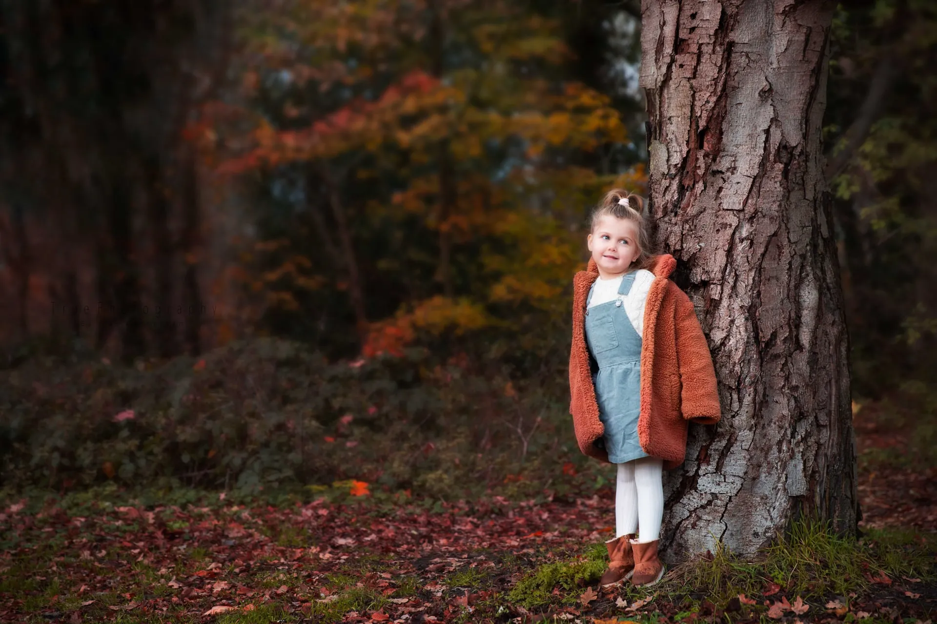 Herfst shoot met Finley