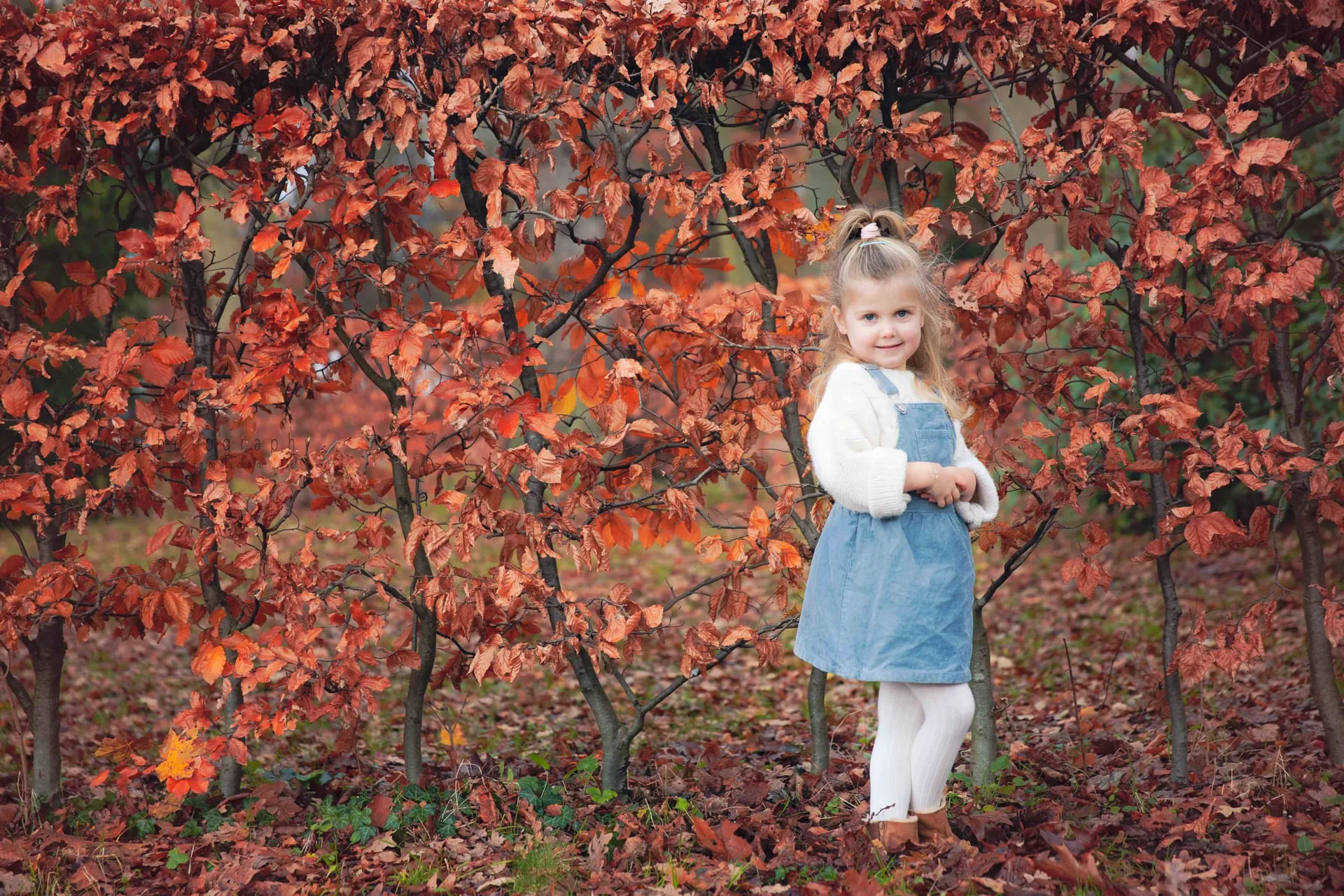 Herfst shoot met Finley foto